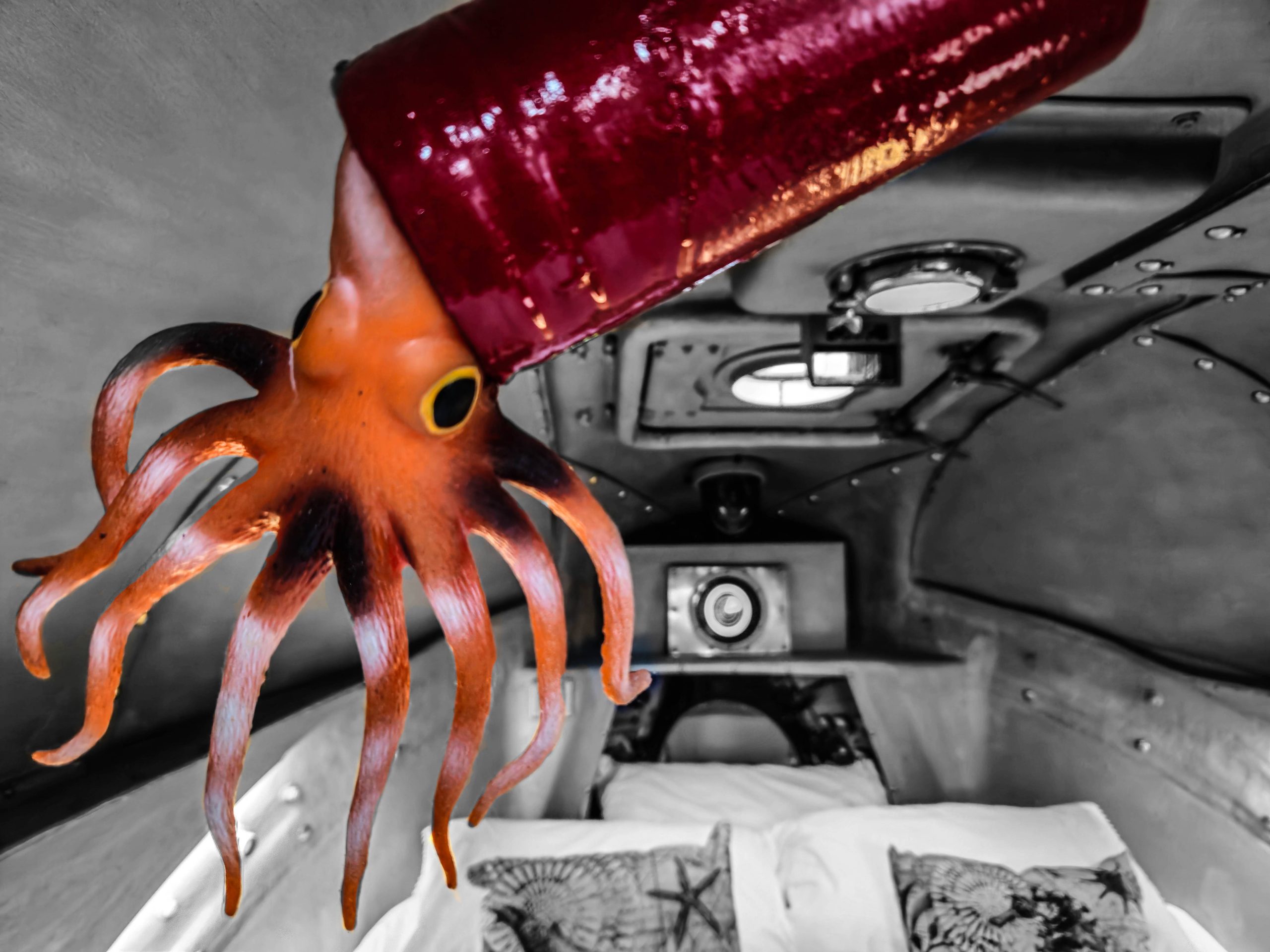 75ec7a_4d232b2e477a4e22a95cab14dbcaeba8~mv2