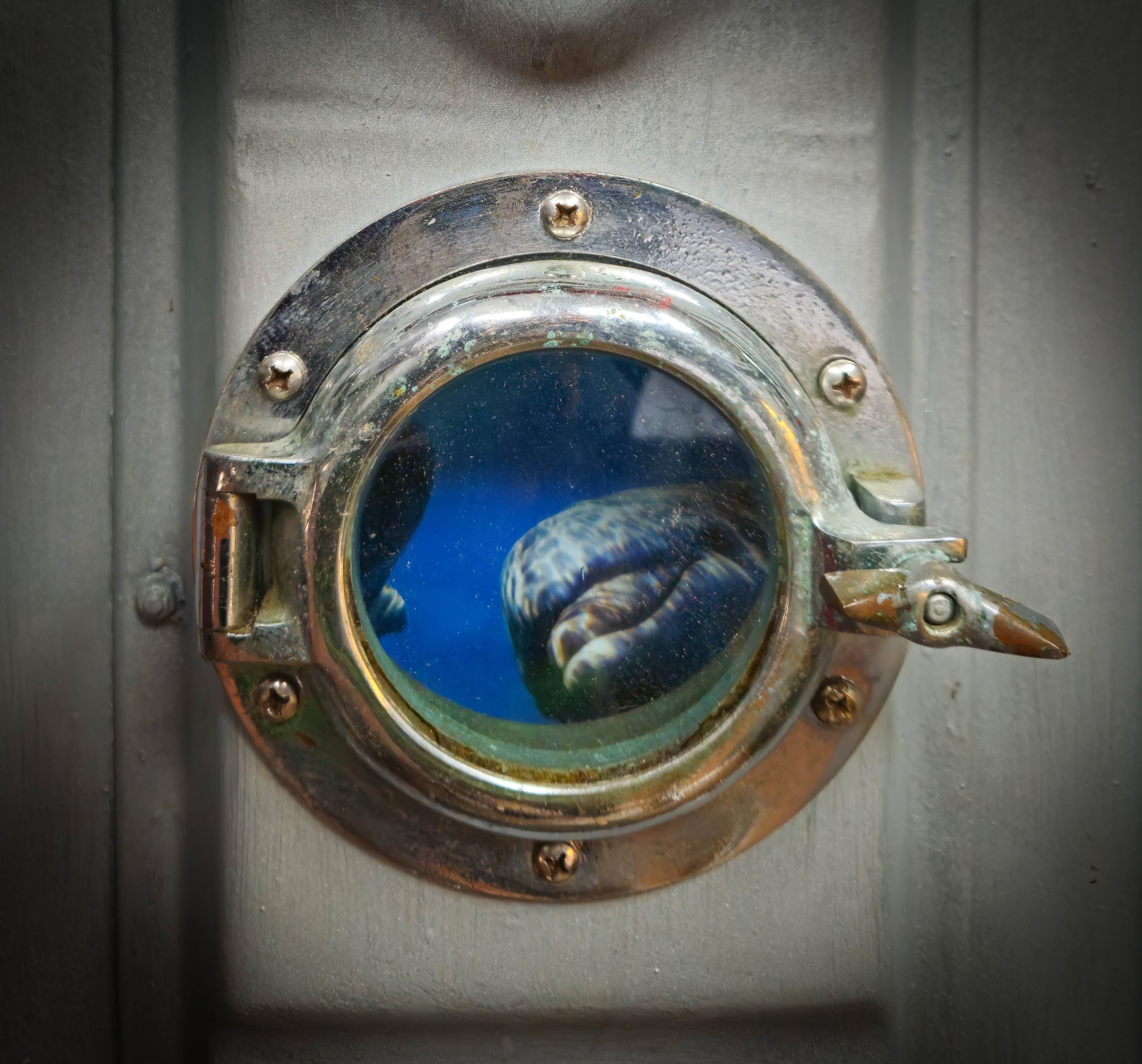 75ec7a_b4d7655496994d6e8f83b76ae82f485a~mv2